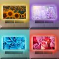LED Strip Light with Remote 5M, SOLMORE RGB Strips Lighting SMD5050 Color Change LED Rope Lights Ideal for bedrooms, Party Decorations, with Adhesive and Fixed Clips, 12V Power Supply. 