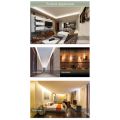 Led Monochromatic Light 5050/3528 Lamp with Module Controller. 