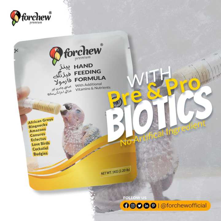 Hand%20Feeding%20Food%20For%20Birds%20-%20Image%203