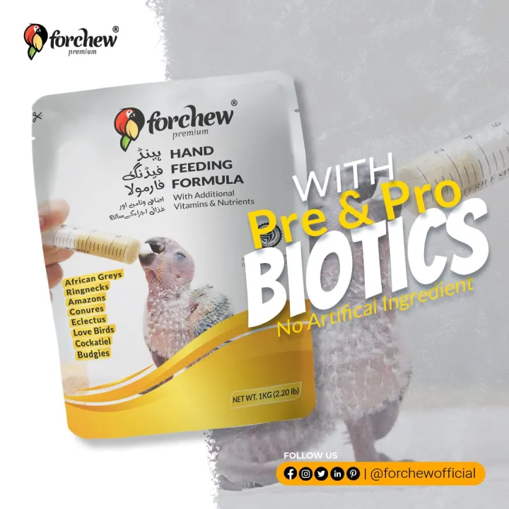 Hand%20Feeding%20Food%20For%20Birds%20-%20Image%203