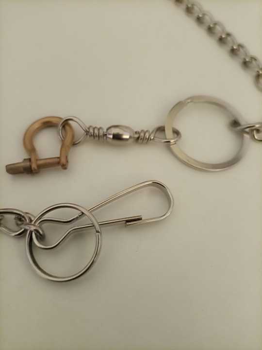 Parrot%20Leashes%20Foot%20Chain,%20Stainless%20Steel%20chain%20Anti-bite%20Flying%20Training%20Solid%20Brass%20U%20Lock%20Clasp--Brass%20Shackle%20Bird%20Harness%20for%20Parrots%20Macaw%20African%20Greys%20Parakeet%20Cockatoo%20Ring%20neck%20electus%20medium%20and%20large%20Anti-Off%20Fly%20Birds%20Flight%20Trainer%20-%20Image%206