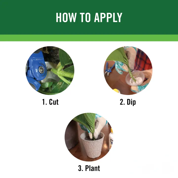 Rooting%20Hormone%20Powder%20for%20Plants%20by%20Moji%20Mall%20%E2%80%93%20Enhances%20Root%20Development%20for%20Cuttings%20%E2%80%93%20Suitable%20for%20Violets,%20Azaleas,%20Roses,%20Geraniums,%20Coleus,%20Orchids,%20and%20Various%20Indoor%20&%20Outdoor%20Plants%20-%20Image%203