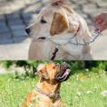 XINQIUS Dog Prong Training Collar, Metal Choke Pinch Dog Collar with Comfort Tips. 