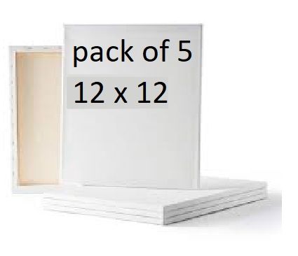 Pack%20of%205%20Canvas%20for%20Painting%20-%20All%20sizes%20For%20Painting%20Blank%20White%20Canvas%20-%20100%25%20Cotton%20Art%20Panels%20for%20Oil,%20Acrylic%20&%20Watercolor%20Paint%20-%20Primed%20Canvas%20-%20Image%206