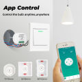 SMATRUL WiFi RF433 Smart Wireless Switch With Power Monitor 16A Light Mini 2 Way Timer Breaker Work for Tuya Google Home Alexa. 
