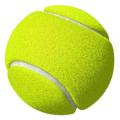 Pack of 4 Light Green Tennis Ball / Soft Rubber Ball for Play Cricket. 