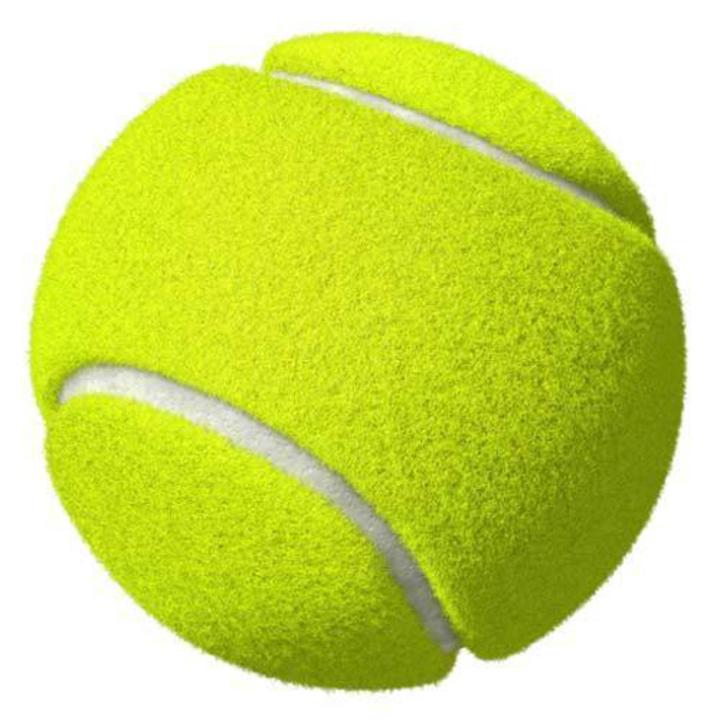 Pack%20of%204%20Light%20Green%20Tennis%20Ball%20/%20Soft%20Rubber%20Ball%20for%20Play%20Cricket%20-%20Image%202