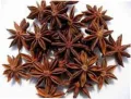 Badyan / Star Anise 50G (بادیان). 