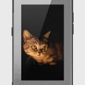 Samsung Galaxy A80 Cover - SkinLee HQ Infinity Glass Case (Soft) - Golden Kitty - SKINLEE-441-1-638-351. 