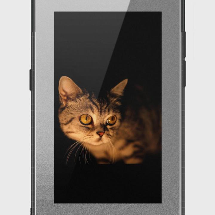 Samsung Galaxy A80 Cover - SkinLee HQ Infinity Glass Case (Soft) - Golden Kitty - SKINLEE-441-1-638-351
