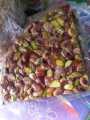 Chiki Pista Chikki Sweet Crunchy Best Chikki Dry Pistachio Chikki Original Shikarpuri Fresh Pure Dried Pista Chiki Laii (500 gms) Home Made Chikki Fresh & Tasty Hygienic Chikki Slice Dry Fruit Chikki Bars. 