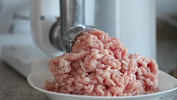 Heavy%20Duty%20Electric%20Meat%20Grinder%20&%20Mincer%20/%20Qeema%20Wali%20Machine%20-%20Image%203