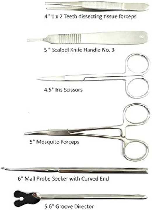 professional%20lab%20dissection%20set,%2022-Piece%20Professional%20Dissection%20Kit%20for%20Biology%20Students%20%E2%80%93%20Stainless%20Steel%20Tools%20for%20Medical,%20Veterinary,%20and%20Anatomy%20Studies%20-%20Image%202