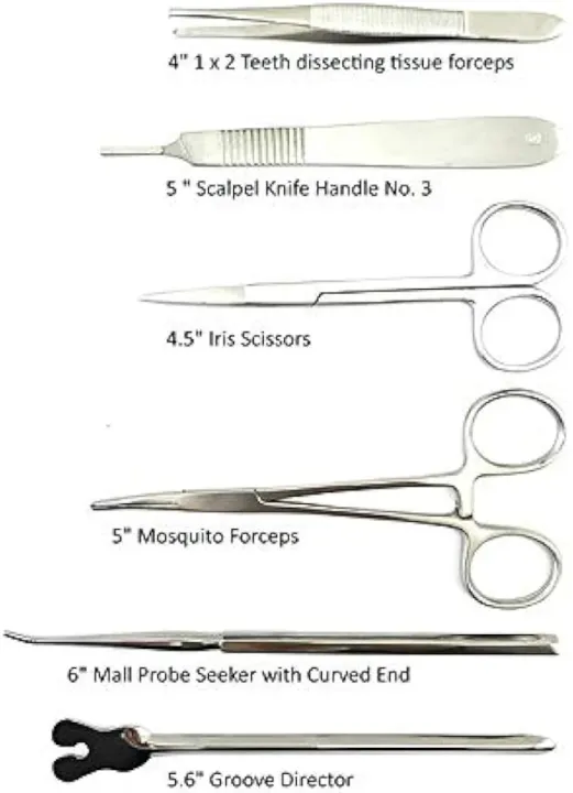 professional%20lab%20dissection%20set,%2022-Piece%20Professional%20Dissection%20Kit%20for%20Biology%20Students%20%E2%80%93%20Stainless%20Steel%20Tools%20for%20Medical,%20Veterinary,%20and%20Anatomy%20Studies%20-%20Image%202