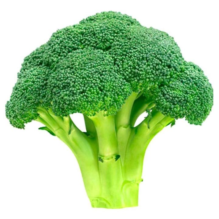 Broccoli%20230+%20High%20Quality%20Seeds%20Best%20for%20Home%20Kitchen%20Gardening%20High%20Germination%20Rate%20-%20Image%207