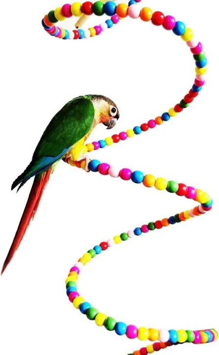 Colourful%20Rotate%20Ladder%20Toy%20for%20Bird%20Parrot%20Budgie%20Parakeet%20Cockatiel%20Conure%20Lovebird%20Finch%20Canary%20Cockatoo%20African%20Grey%20Amazon%20Cage%20Perch%20Stand%20-%20Image%205
