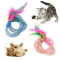 Pet Cats Kitten Funny Feather Spring Interactive Bite-resistant Playing Chew Toy. 