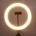 Ring Light 26cm Ring Light With Phone Holder & 3 Shades of Colours Only Ring light For Video Making Selfie Ring Light Photography Dimmable Makeup 26cm Ring Light Video Live with Phone Holder USB Plug (NO STAND). 