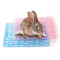 Yfashion Plastic Pet  Foot  Mat For Rabbit uinea  nchilla Foot Pad Soleplate For Pets color:blue specification:Rabbit foot pad 34*25cm. 