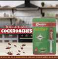 KINGTOX Roach Killing Gel King Gel Injection 10 GRAMS. 