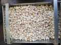 Homemade Suger Free Super پلس  Talbina تلبینہ Mix With 10+ Dry fruits 250 Gram. 