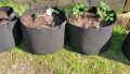 Pack of 5 Grow Bags Heavy Duty for Plant/Vegetable/Herb/Fruit Breathable with Handles. 