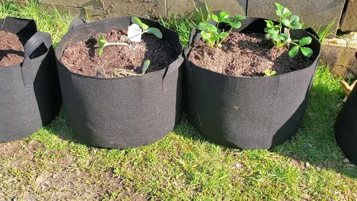 Pack%20of%205%20Grow%20Bags%20Heavy%20Duty%20for%20Plant/Vegetable/Herb/Fruit%20Breathable%20with%20Handles%20-%20Image%203