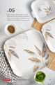 Sireina-05 Melamine Dinner Set including stainless steel Flatware,  80Pcs DG. 