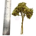 Dazzling Golden Glitter Artificial Flower Bunch - 10 Flowers. 