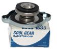 Radiator cap denso. 