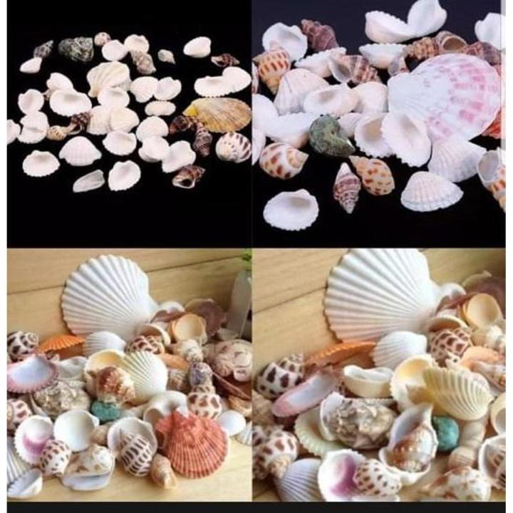 Seepi color mini Funny Mixed  Aquarium Pet Home decoration