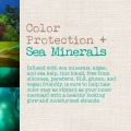 Maui Moisture Color Protection + Sea Minerals Shampoo (13 Ounce); Protect Color-Treated Tresses with Rich Sea Minerals, Pure Algae, and Lush Sea Kelp, Non-GMO. 