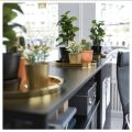 IKEA : GLATTIS : Serving Tray. 