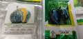 10 Packs of F1 Hybrid  Winter Vegetables Seeds by Victoria Store. 