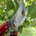 Fruit Tree Thick Branch Pruning Shears Portable Bird-Mouth Flower and Garden Shears Clippers Gardening Secateurs Scissor, Professional Sharp Secateurs Tree Trimmers with Spring-Loaded Comfort Handles. 