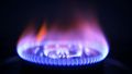 Kitchen Ignition Lighter Electric Gas Candle Fire Starter Extended BBQ Dispatch Picnic Lighters Open Flame Gas Stove Ignition Stick Lighter Lighter For The kitchen. 