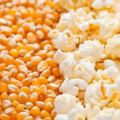 Popcorn Kernels • American Popcorn Seeds • Guaranteed Best Quality • 1kg. 