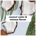 Love Beauty and Planet Coconut Water and Mimosa Flower Deodorant, 2.95 Oz.. 