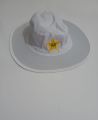 Pakistan team official hat cap | Test Match Hat | Round  Cap for cricket. 