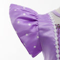 Halloween Children's Costume Sophia Princess Dress Sophia Girls Summer Dress Sophia One Piece Dropshipping. 