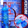 WATER BOTTLE FOR GIRLS / UNIQUE DESIGN BOTTLES / ICE CUBE BOTTLE / WATER BOTTLE FOR SCHOOL / GIRLS BOTTLE. 