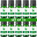 Set of 10 Fragrance oil for Aroma Oil for Diffuser | Scent oil for Humidifier and Perfumes, Candle or Soap Making | Concentrated Perfume Oil. 