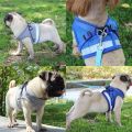 tranquillt Cat Walking Jacket Harness and Leash Pets Puppy Kitten Clothes Adjustable Vest. 