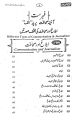 Pilot Super One Aina Journalism Urdu Medium for BA. 