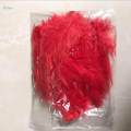 100 Pcs Feathers Jewelry Feathers Craft Feathers for Wedding Decorations, Home Decor - Red. 