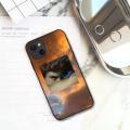 Fallen Angel Alexandre Cabanel Phone Case For iPhone 11 12 Mini 13 Pro XS Max X 8 7 6s Plus 5 SE XR Shell. 