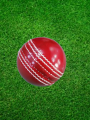 cricket pace ball 300grams. 