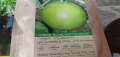 10 Packs of F1 Hybrid  Winter Vegetables Seeds by Victoria Store. 