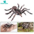 Spider Toy for Children Halloween Spider Model Ornament Simulation Plastic Figurine Kids Toy Desktop Garden Tricky Gift Spider Decoration for Home. 