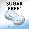 ICE Breakers Mints Coolmint Sugar Free 42g (Imported). 